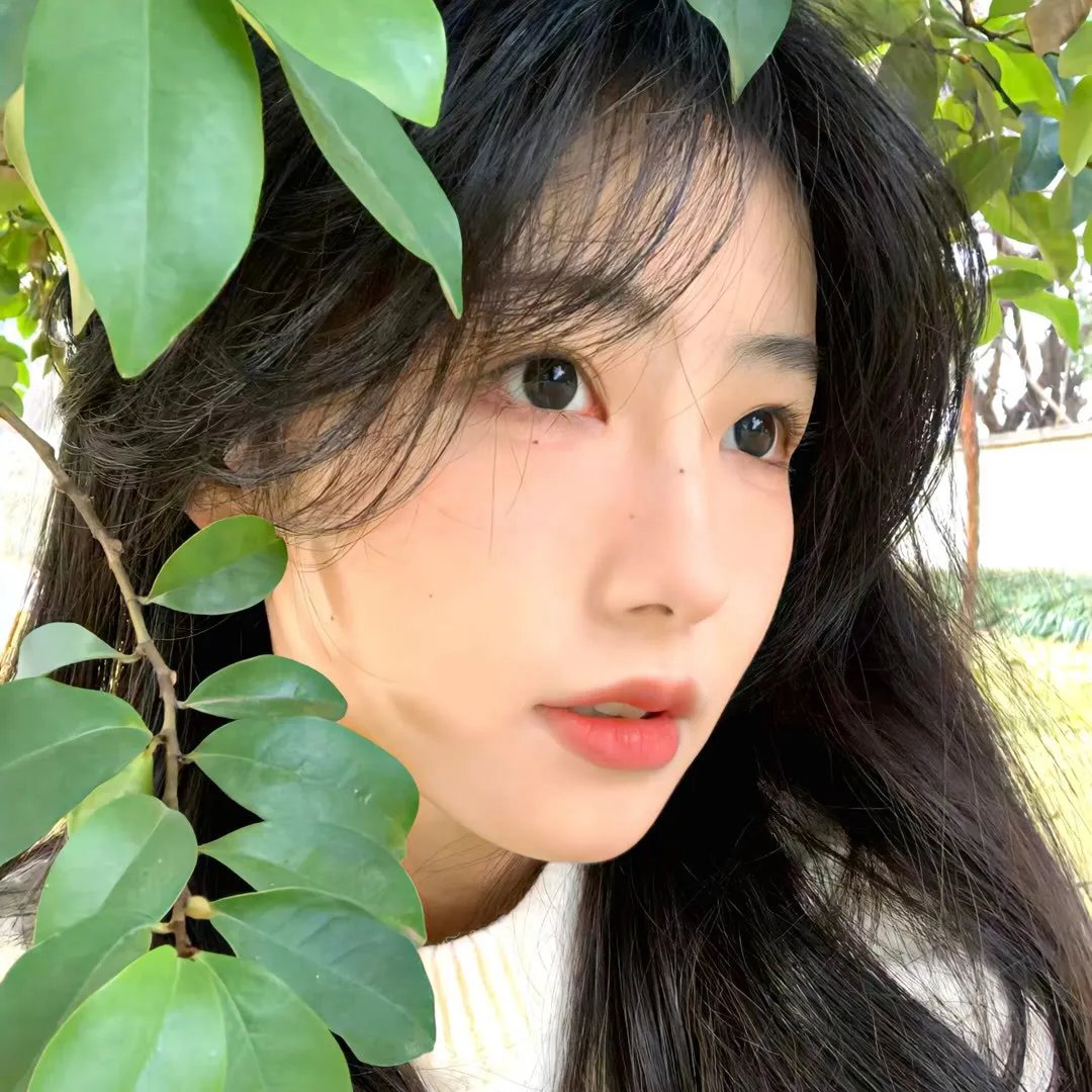 我在伊朗长大